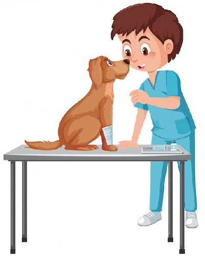 Story Image