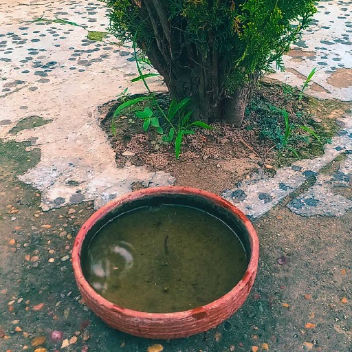 Story Image