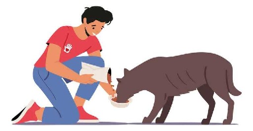 Story Image