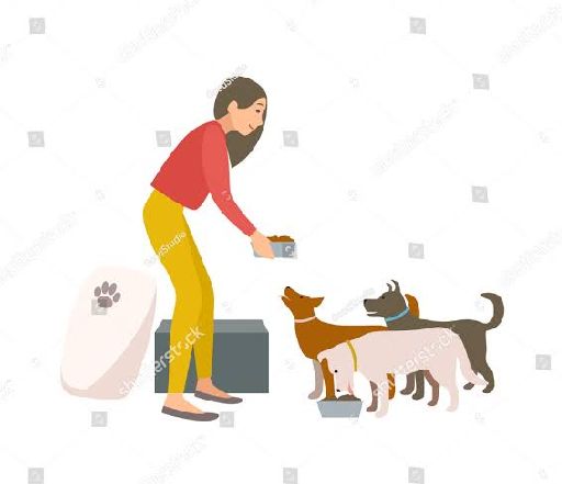 Story Image